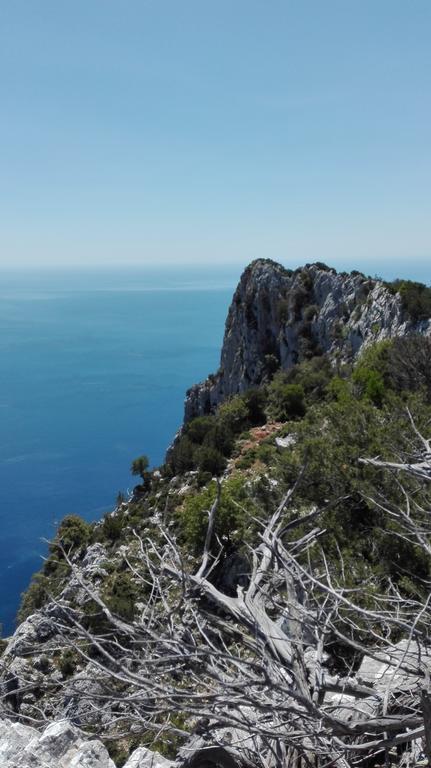 Naramanue Villa Dorgali Exterior photo